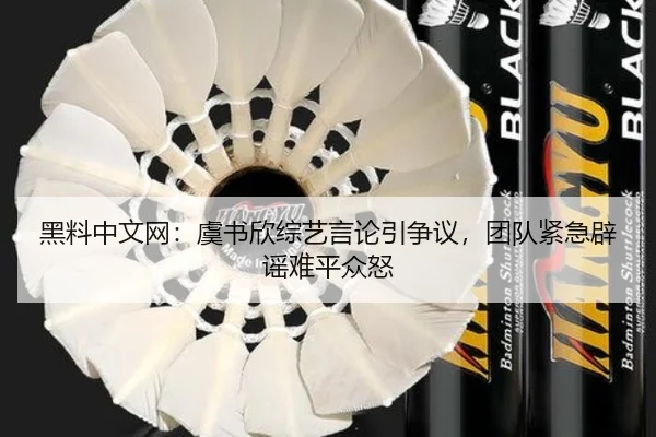 hei-liao-zhong-wen-wang-yu-shu-xin-zong-yi-yan-lun-yin-zheng-yi-tuan-dui-jin-ji-pi-yao-nan-ping-zhong-nu-2-366.jpg